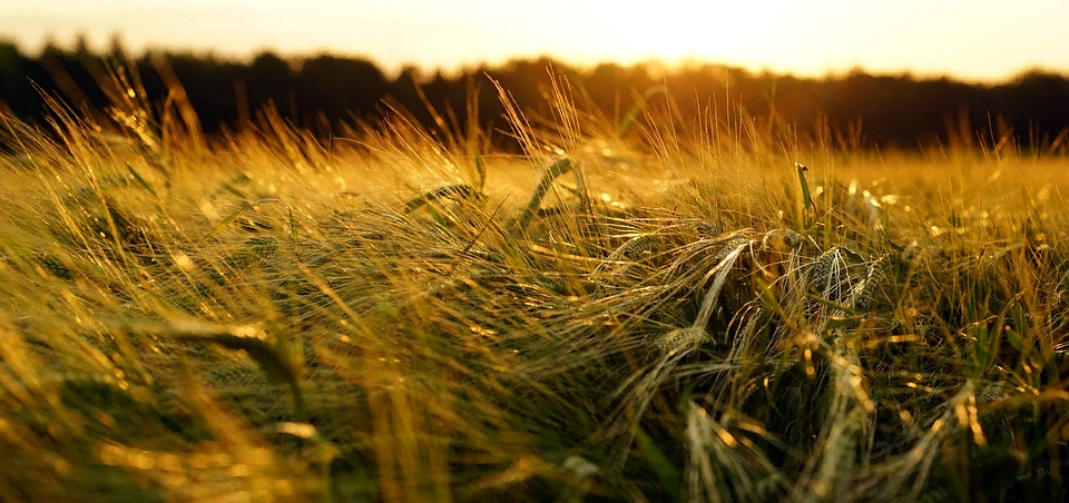 Ag Weather Data