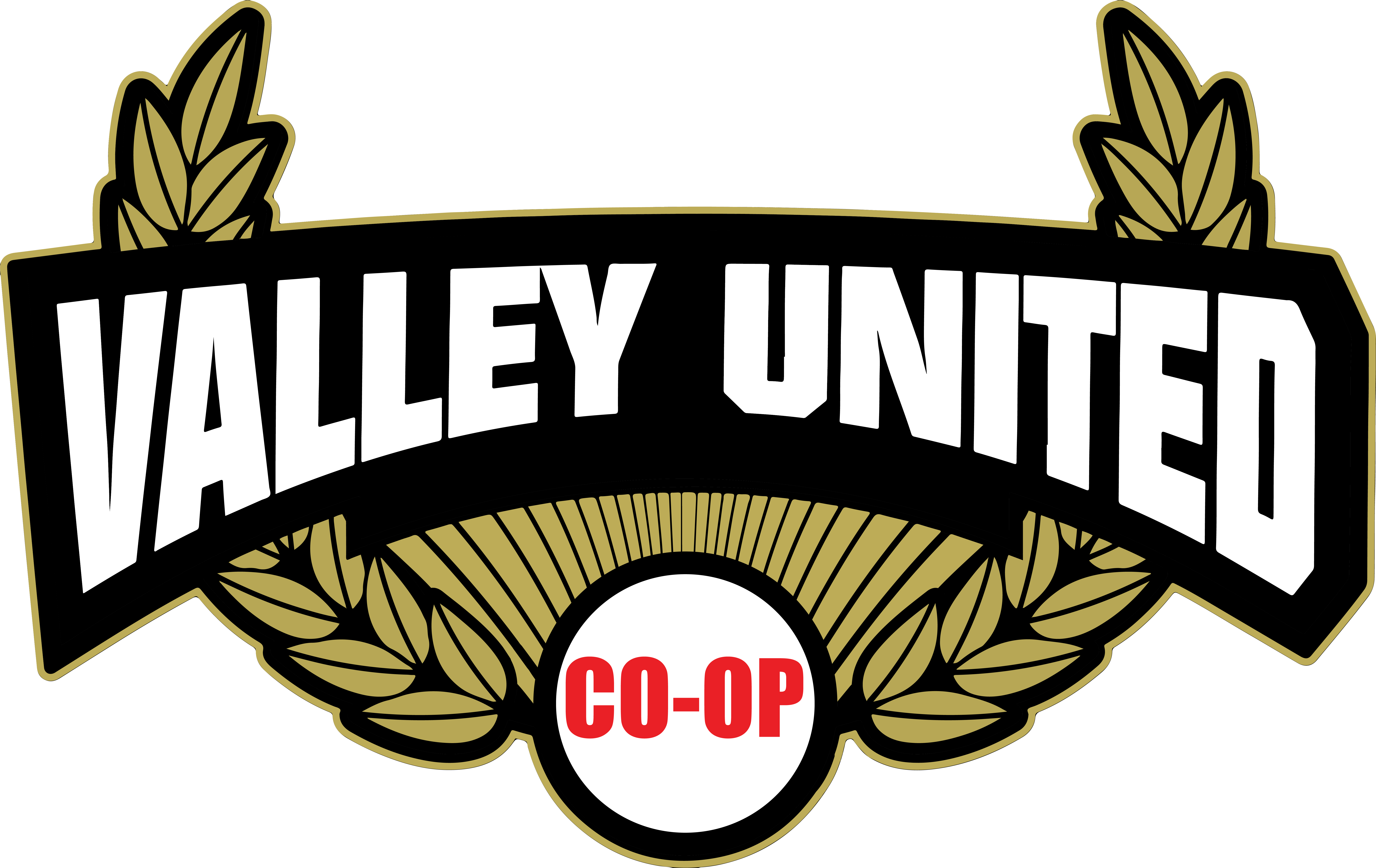 Case Study: Valley United Co-op