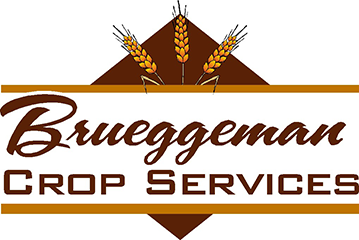 Brueggeman Crop Insurance