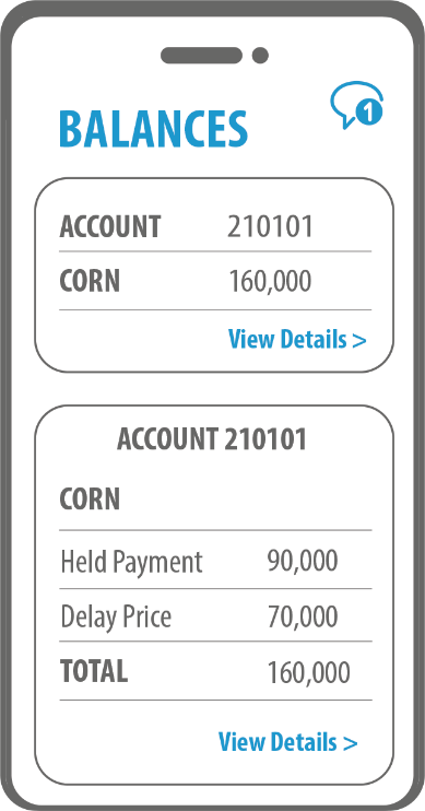 Grain Marketplace Demo: BALANCES