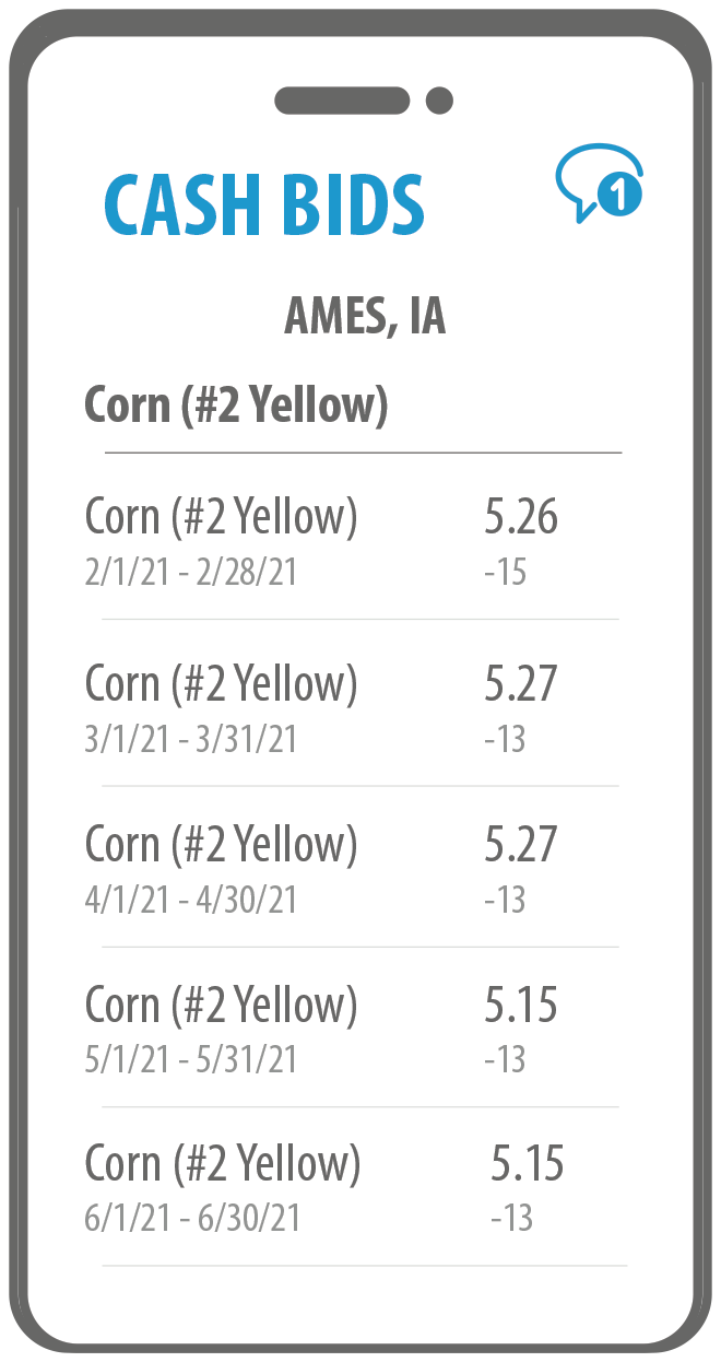 Grain Marketplace Demo: CASH BIDS