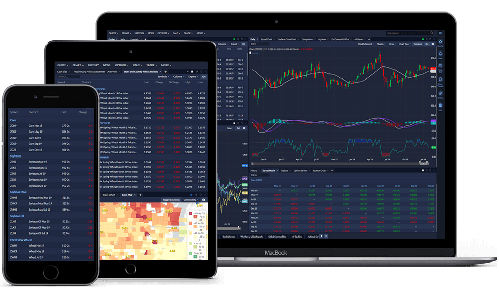 Responsive Layouts