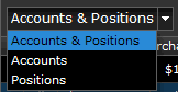 Accounts and Positions selection